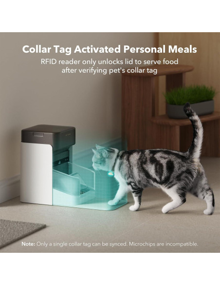 Alimentador Automático para Gatos PETLIBRO 3L Wi-Fi RFID Negro Alimentador Automático para Gatos PETLIBRO 3L Wi-Fi RFID Negro