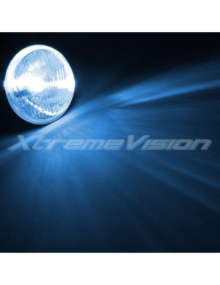 Bombillas HID XtremeVision D1C 10000K Azul Oscuro - 1 Par Bombillas HID XtremeVision D1C 10000K Azul Oscuro - 1 Par