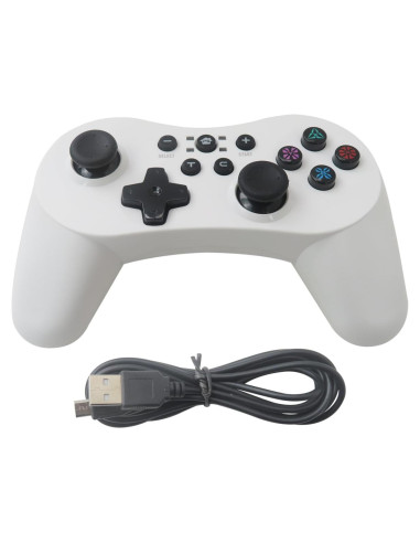 Controlador Inalámbrico Icelily para Nintendo Switch y PC