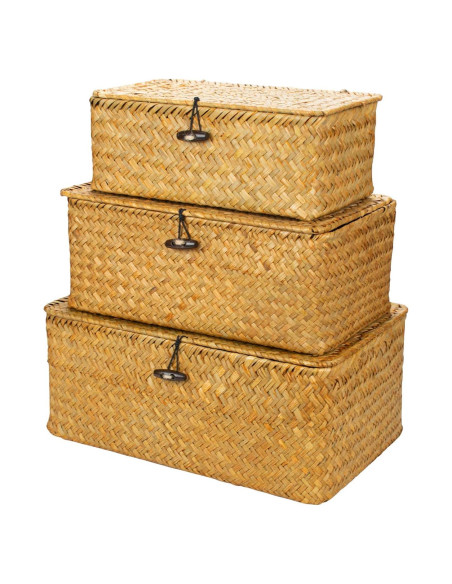 Conjunto de 3 cestas de almacenamiento Yesland con tapa Conjunto de 3 cestas de almacenamiento Yesland con tapa