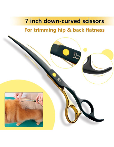 Kit de Tijeras para Acicalar Perros Citywish 5 en 1 Acero Inoxidable
