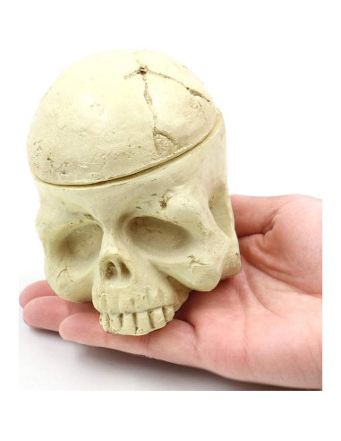 Soporte para Tinta de Tatuaje Yangna Calavera 7 Agujeros