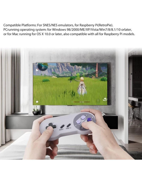 Controlador de Juego USB 2x G-tron para PC y Mac Controlador de Juego USB 2x G-tron para PC y Mac