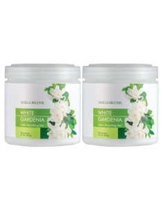 Gel Absorbente de Olores SMELLS BEGONE 425 g - Gardenia Blanca