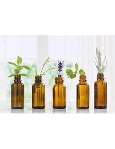 Aceite Esencial de Mora 30 ml - Nature's Note Organics