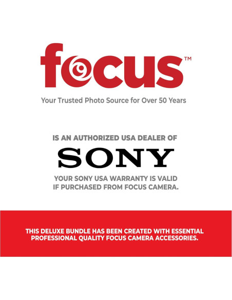 Reproductor de Audio Digital Sony NW-A306 Walkman 334g con Funda Reproductor de Audio Digital Sony NW-A306 Walkman 334g con Funda