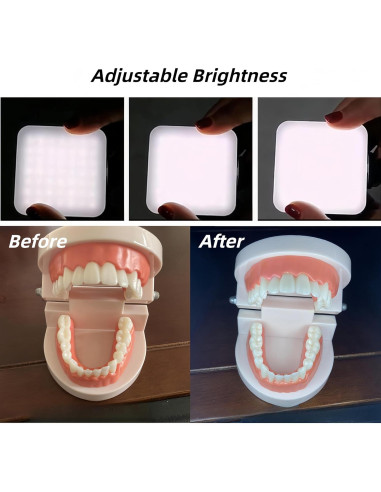 Luz Dental Portátil RXLIFE LED Recargable con Bolsa 0.63kg