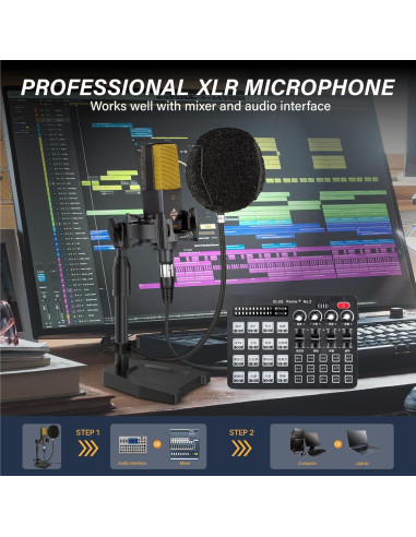 Micrófono de Estudio PROAR C414 XLR 25mm Cardioide para PC