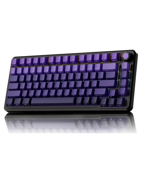 Teclado Mecánico Inalámbrico EWEADN GS75 75% RGB PBT Teclado Mecánico Inalámbrico EWEADN GS75 75% RGB PBT