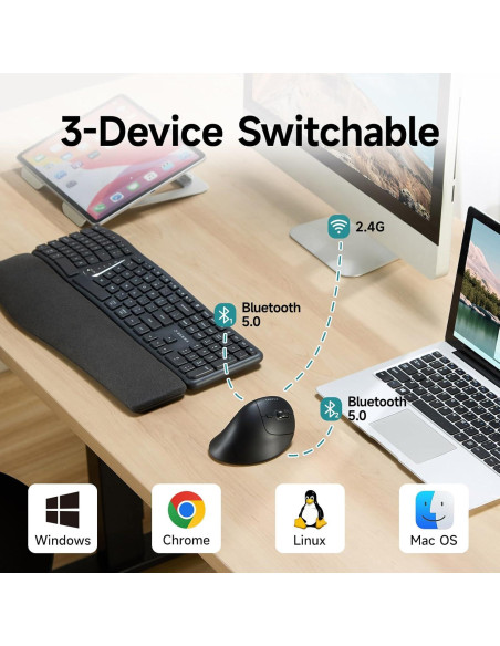 Ratón Vertical Ergonómico SANWA GMAERGWBT5-DPH Inalámbrico 2.4G + Bluetooth Ratón Vertical Ergonómico SANWA GMAERGWBT5-DPH Inalámbrico 2.4G + Bluetooth