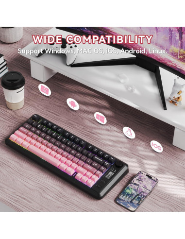Teclado Inalámbrico ZIYOU LANG M75 RGB Compacto 82 Teclas