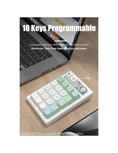 Numpad Mecánico TISHLED Crema Triple Modo + Ratón Vertical Ergonómico Numpad Mecánico TISHLED Crema Triple Modo + Ratón Vertical Ergonómico