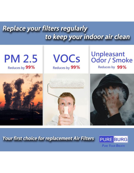 Filtro HEPA Verdadero PUREBURG AF-100FL para Purificador HoMedics Filtro HEPA Verdadero PUREBURG AF-100FL para Purificador HoMedics