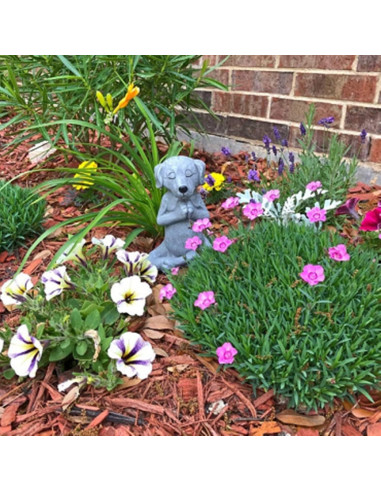 Estatua Perro Zen Meditador Jxueych 12 cm Jardín Hadas