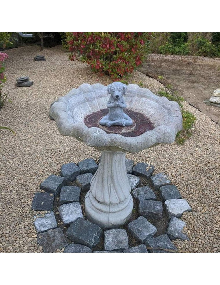 Estatua Perro Zen Meditador Jxueych 12 cm Jardín Hadas Estatua Perro Zen Meditador Jxueych 12 cm Jardín Hadas