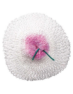 Linterna de Propano Primus Tor Jr. con Encendido Piezo