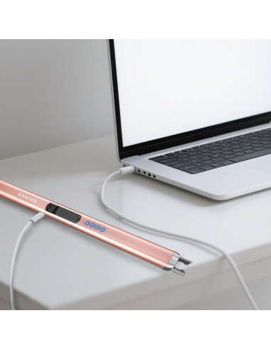 Encendedor Eléctrico RAYONNER Recargable USB Oro Rosa 2 Pzas