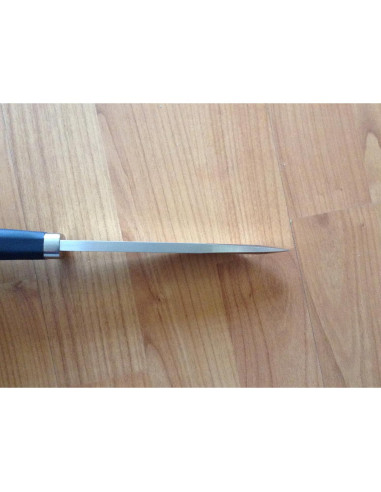 Cuchillo de Caza Fllkniven A1 Pro 28 cm Acero Cobalto