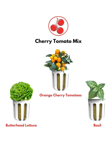 Mezcla de Tomate Cherry Plantaform - 15 Cápsulas Orgánicas Mezcla de Tomate Cherry Plantaform - 15 Cápsulas Orgánicas