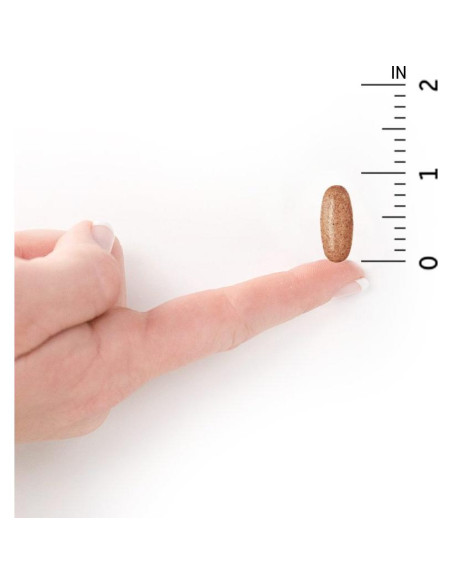 Multivitamínico Diario Orgánico Jardín de Vida 60 Tabletas Multivitamínico Diario Orgánico Jardín de Vida 60 Tabletas