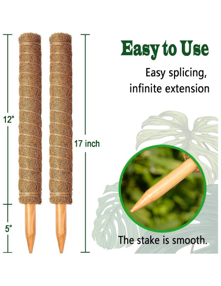 Postes de Musgo CHIAFFI 2 Piezas 43 cm para Plantas Trepadoras Postes de Musgo CHIAFFI 2 Piezas 43 cm para Plantas Trepadoras