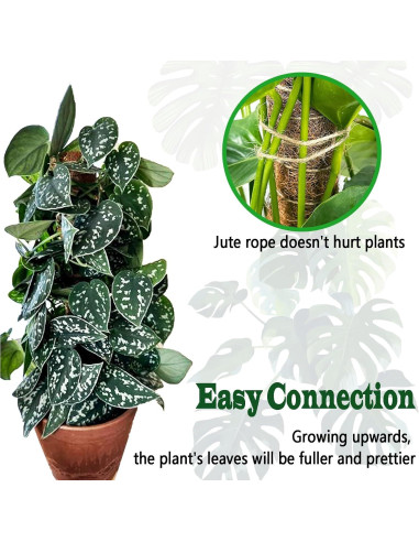 Postes de Musgo CHIAFFI 2 Piezas 43 cm para Plantas Trepadoras