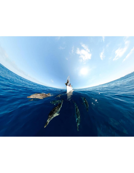 Cámara de acción GoPro MAX 5.6K 360 a prueba de agua Cámara de acción GoPro MAX 5.6K 360 a prueba de agua