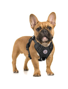 Arnés para Perro Hipubby XS Negro Sin Tirones Ajustable