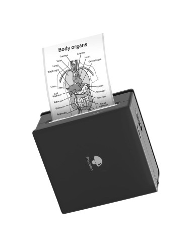 Impresora de Etiquetas Portátil Phomemo M02 - Sin Tinta, Bluetooth