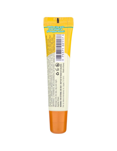 Manteca Labial de Piña Tree Hut Sugarlips 15 g Hidratante