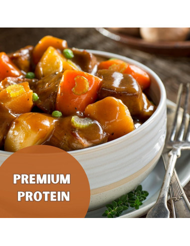 Carne de Res Deshidratada al Vacío Nutristore 1-Pack 20 Porciones