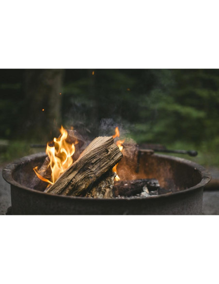 Leña de Abedul Wilson - Secada Natural para Chimenea Regular Leña de Abedul Wilson - Secada Natural para Chimenea Regular