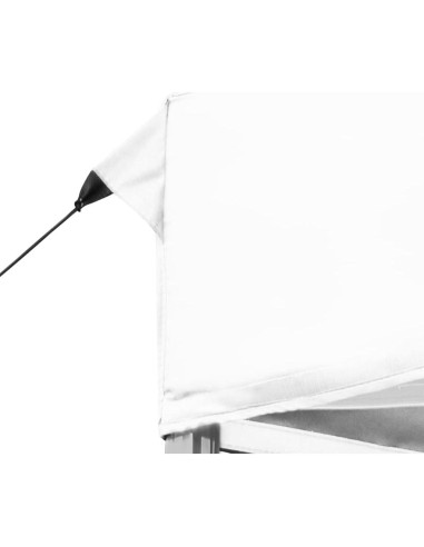 Carpa Plegable Impermeable HXUHUWS 6.0m x 3.0m para Eventos