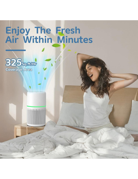 Purificador de Aire FRESHDEW H13 HEPA 121 m Control Alexa Purificador de Aire FRESHDEW H13 HEPA 121 m Control Alexa