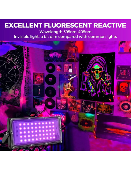 Luces Negras LED 50W Waygor, Proyector UV IP65, Paquete de 2 Luces Negras LED 50W Waygor, Proyector UV IP65, Paquete de 2