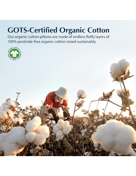 Almohada de Cama Pacific Coast Estándar Plumas Hipoalergénica Almohada de Cama Pacific Coast Estándar Plumas Hipoalergénica