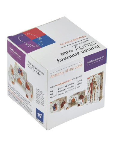 Cubo de Estudio de Anatomía Humana Kits de Medicina 7x7cm