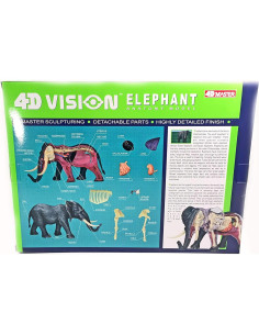 Modelo de Anatomía de Elefante 4DMaster 29 Piezas 24.5 cm 2