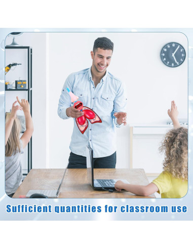 Modelo de Pulmón Educativo Libima 24 Juegos Ciencia 6+