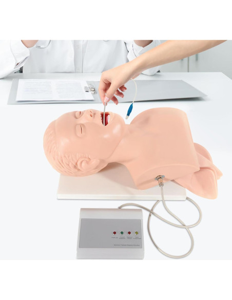 Simulador de Intubación Electrónica BIXIBIN PVC Adulto Simulador de Intubación Electrónica BIXIBIN PVC Adulto