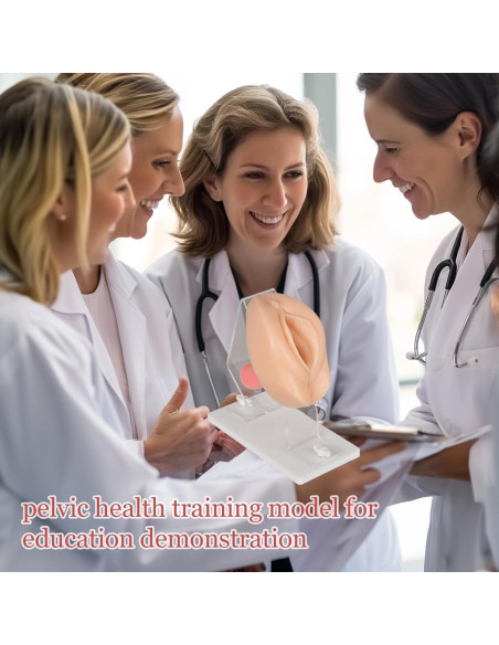 Modelo Anatómico de Salud Pélvica MedEduQuest - Entrenamiento Ginecológico Modelo Anatómico de Salud Pélvica MedEduQuest - Entrenamiento Ginecológico