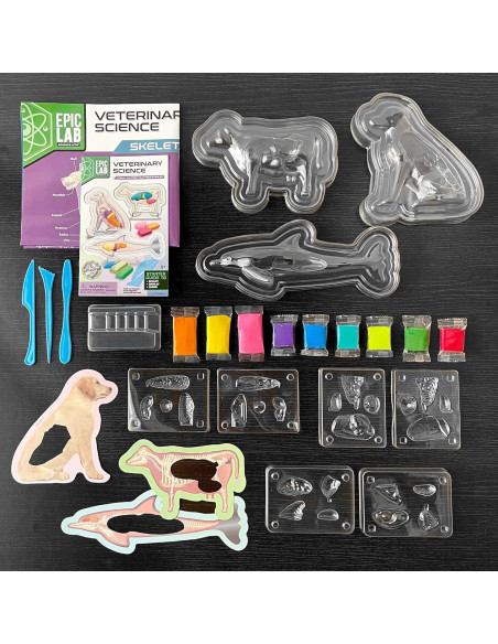 Kit de Ciencia Veterinaria ArtSkills para Niños 8+ Anatomía Animal Kit de Ciencia Veterinaria ArtSkills para Niños 8+ Anatomía Animal