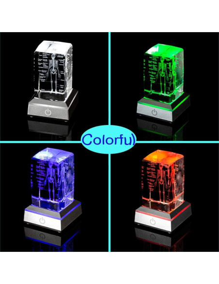 Modelo de Esqueleto Humano 3D IFOLAINA en Cristal K9 5x5x8cm Modelo de Esqueleto Humano 3D IFOLAINA en Cristal K9 5x5x8cm