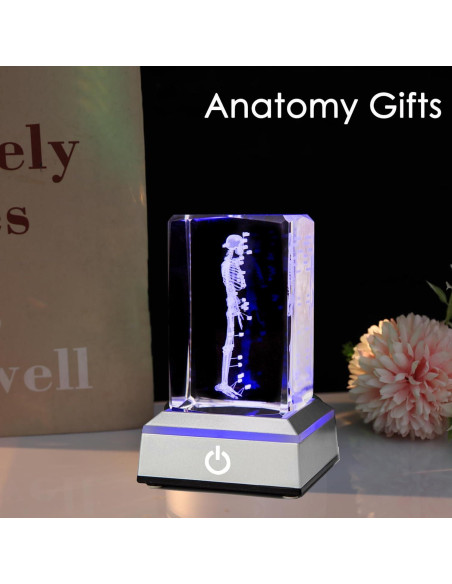 Modelo de Esqueleto Humano 3D IFOLAINA en Cristal K9 5x5x8cm Modelo de Esqueleto Humano 3D IFOLAINA en Cristal K9 5x5x8cm
