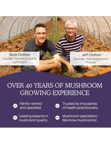 Cápsulas de Zinc y Vitamina D2 Real Mushrooms - 120 Unidades