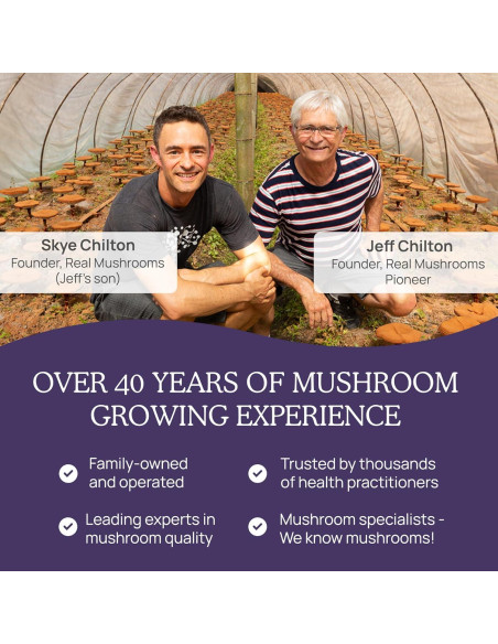Cápsulas de Zinc y Vitamina D2 Real Mushrooms - 120 Unidades Cápsulas de Zinc y Vitamina D2 Real Mushrooms - 120 Unidades