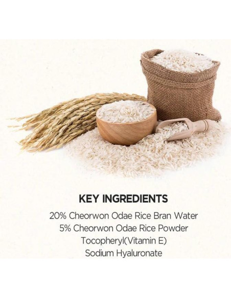 Mascarilla Exfoliante SKINFOOD de Arroz 99g - Suaviza Piel Mascarilla Exfoliante SKINFOOD de Arroz 99g - Suaviza Piel