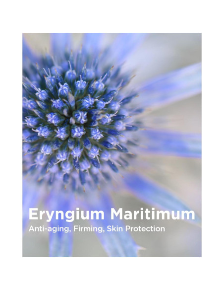 Gel Exfoliante Suave Facial THESAEM AHA+BHA 160 ml Gel Exfoliante Suave Facial THESAEM AHA+BHA 160 ml