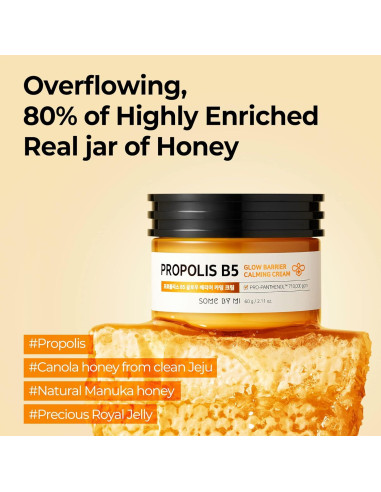 Crema Calmante Propolis B5 SOME BY MI 60ml Hidratante Diario
