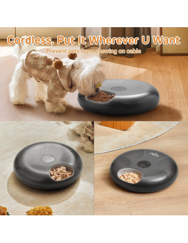 Alimentador Automático iPettie 6 Comidas para Gatos